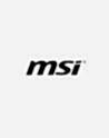 MSI