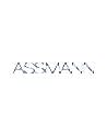 ASSMANN Electronic