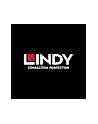 Lindy